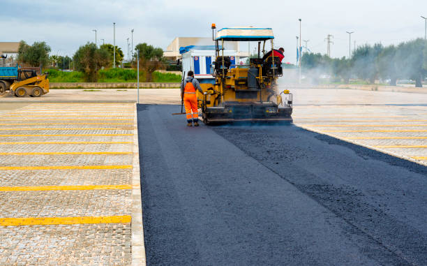 Best Driveway Sealing and Maintenance in Palisade, CO