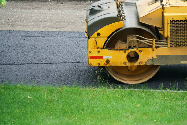 Best Gravel Driveway Installation in Palisade, CO