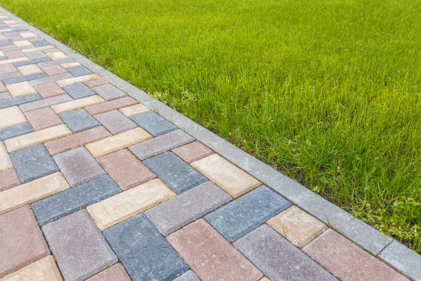 Best Driveway Paver Repairs and Restoration in Palisade, CO